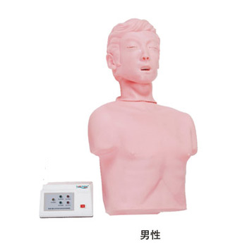 半身心肺復(fù)蘇訓(xùn)練模擬人KAS/CPR170 簡(jiǎn)易型