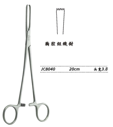 金鐘組織鉗普通 JCB040 20cm  頭寬 3.8 (胸腔)