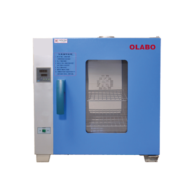 歐萊博電熱鼓風(fēng)干燥箱DHG-9123A 臺式(50-200℃)