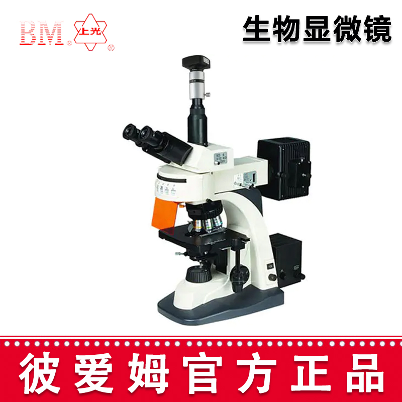 彼愛姆電腦熒光顯微鏡BM-21AYD 電腦、落射